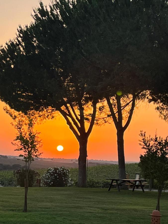 Country house Quinta Da Amoreira